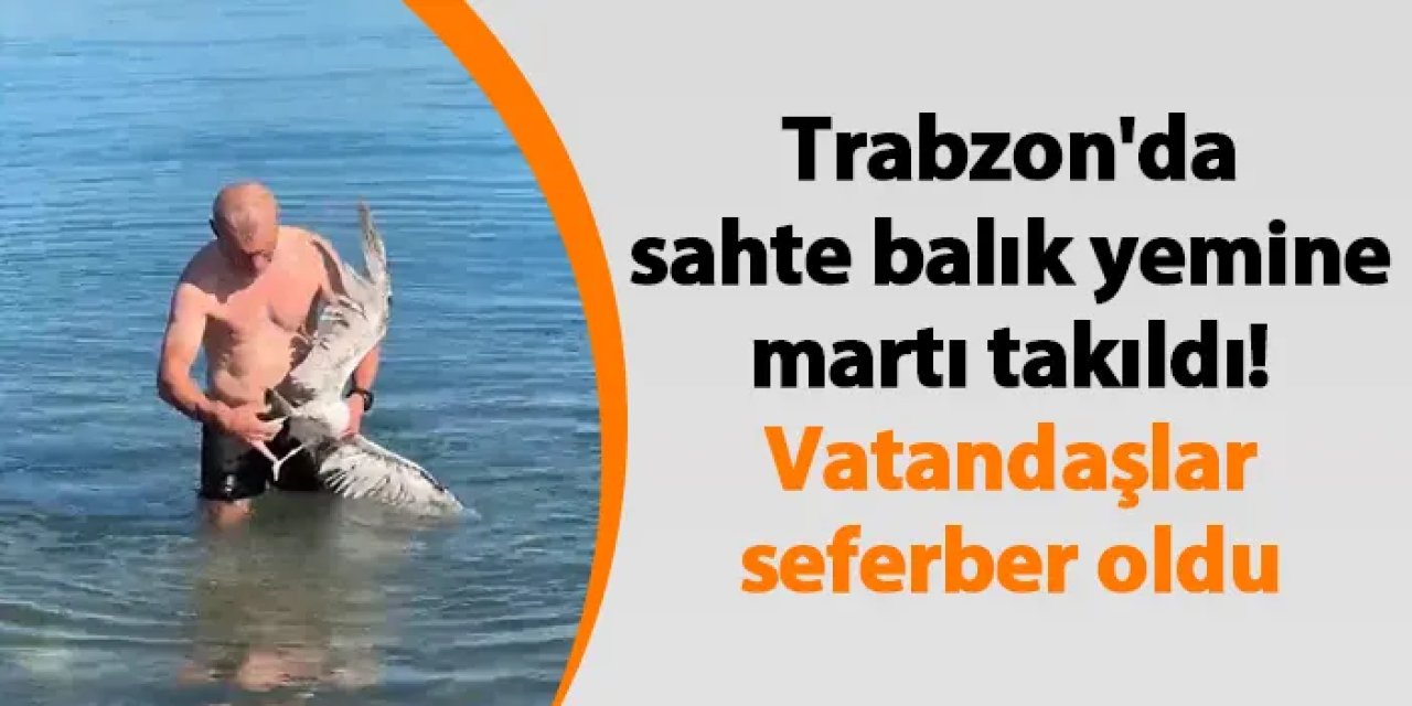 Trabzon'da sahte balık yemine martı takıldı! Vatandaşlar seferber oldu