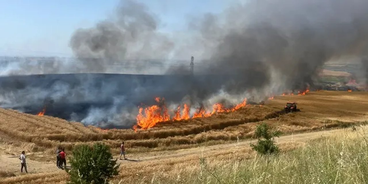 Edirne'de çiftçinin emeği kül oldu! 110 dönümlük bahçe alev alev yandı