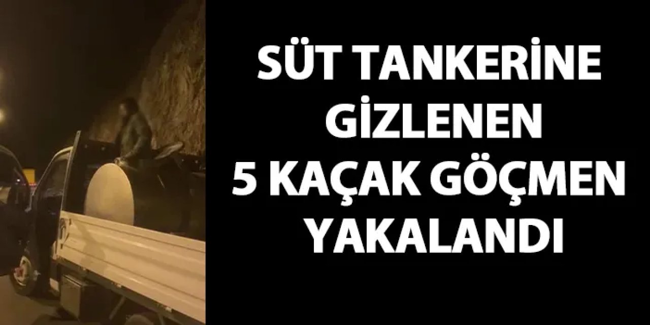 Artvin'de süt tankerinde 5 düzensiz göçmen yakalandı