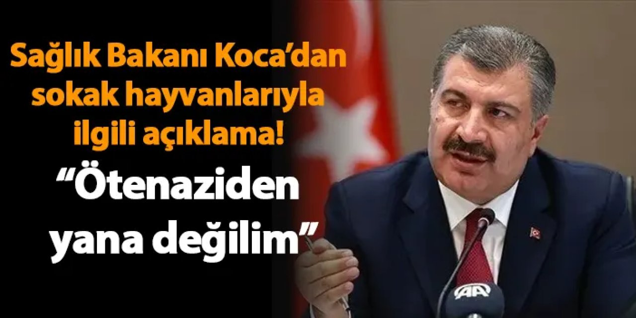 Sağlık Bakanı Koca’dan sokak hayvanlarıyla ilgili açıklama! “Ötenaziden yana değilim”