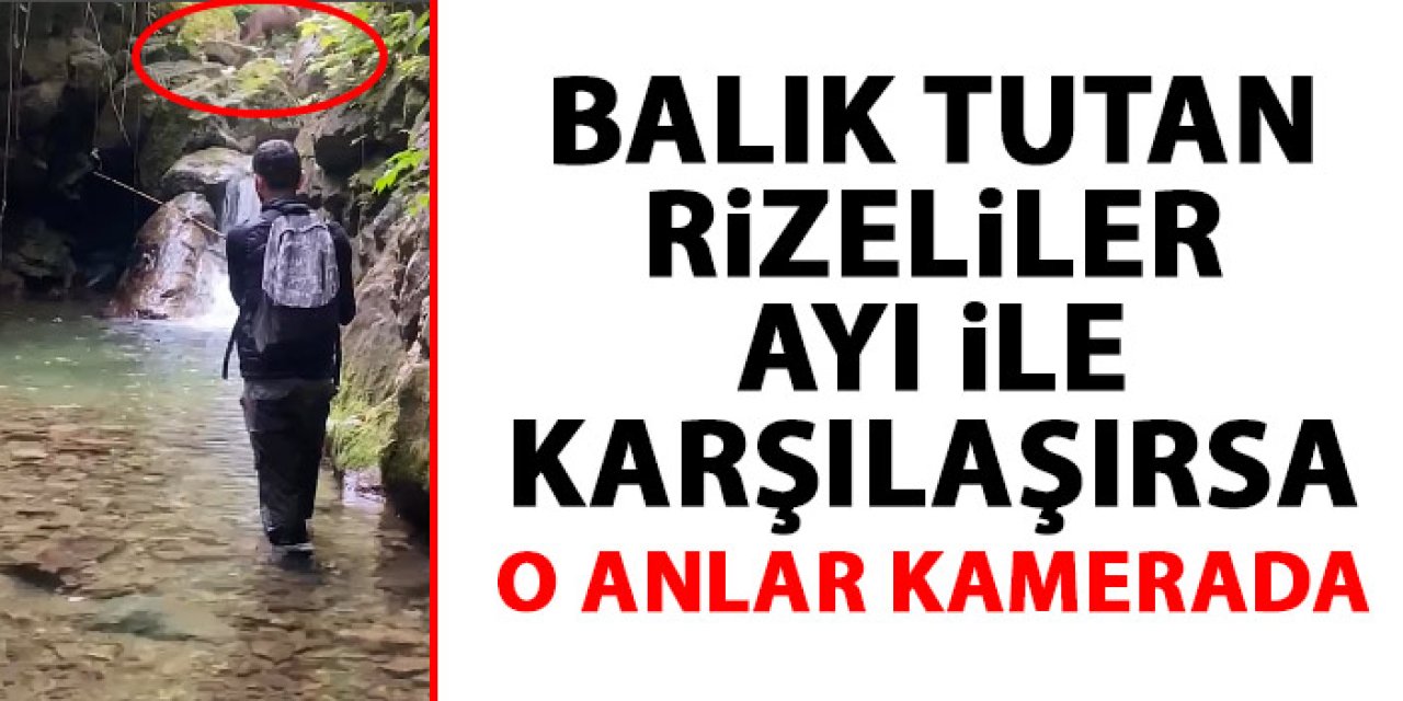 Rizeli balıkçıların ayı ile karşılaşması kameralarda