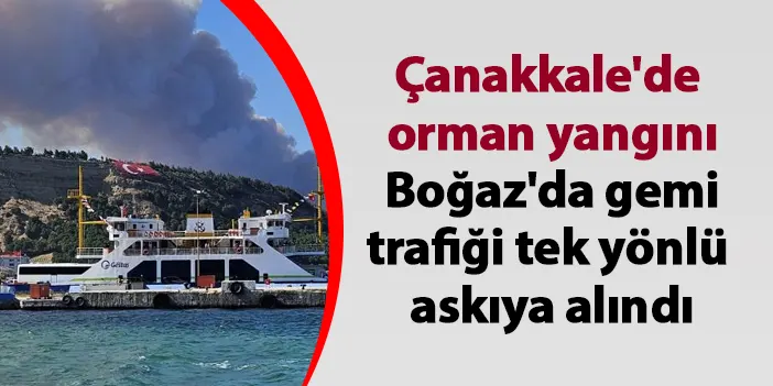 Çanakkale'de orman yangını: Boğaz'da gemi trafiği tek yönlü askıya alındı