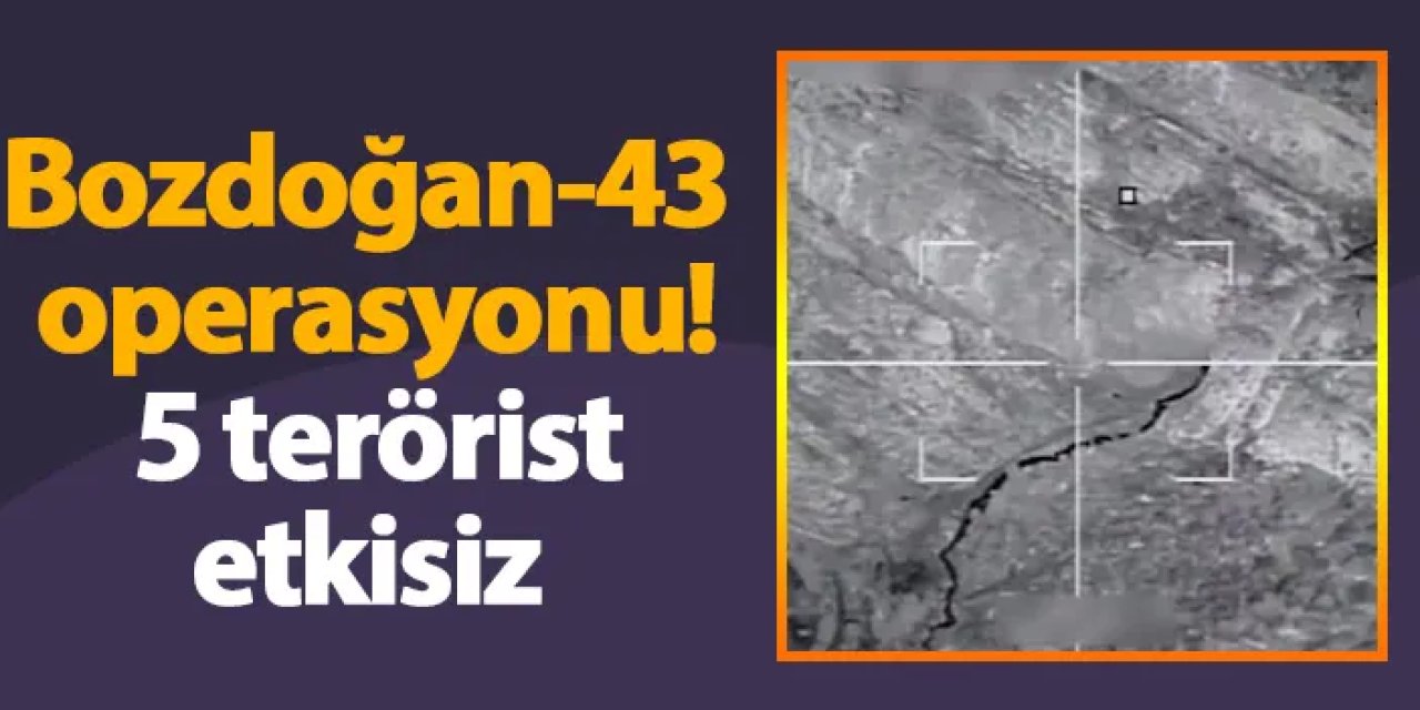 Bozdoğan-43 operasyonu! 5 terörist etkisiz