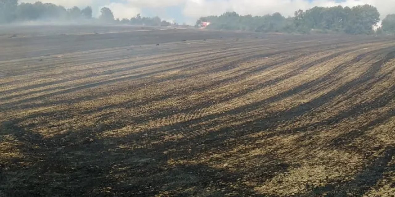 Samsun alev alev! 100 dönüm zarar gördü