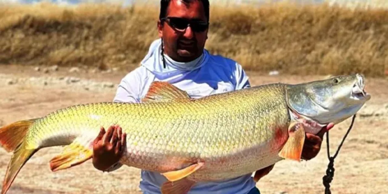 Elâzığ'da amatör balıkçı baraj gölünde devasa balık yakaladı