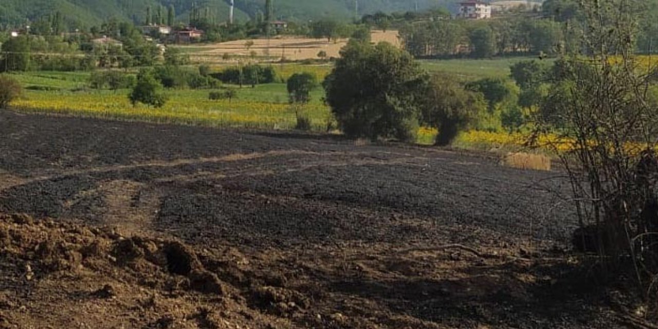 Samsun'da çiftçilerin kalbi yandı! Tarım arazisi küle döndü