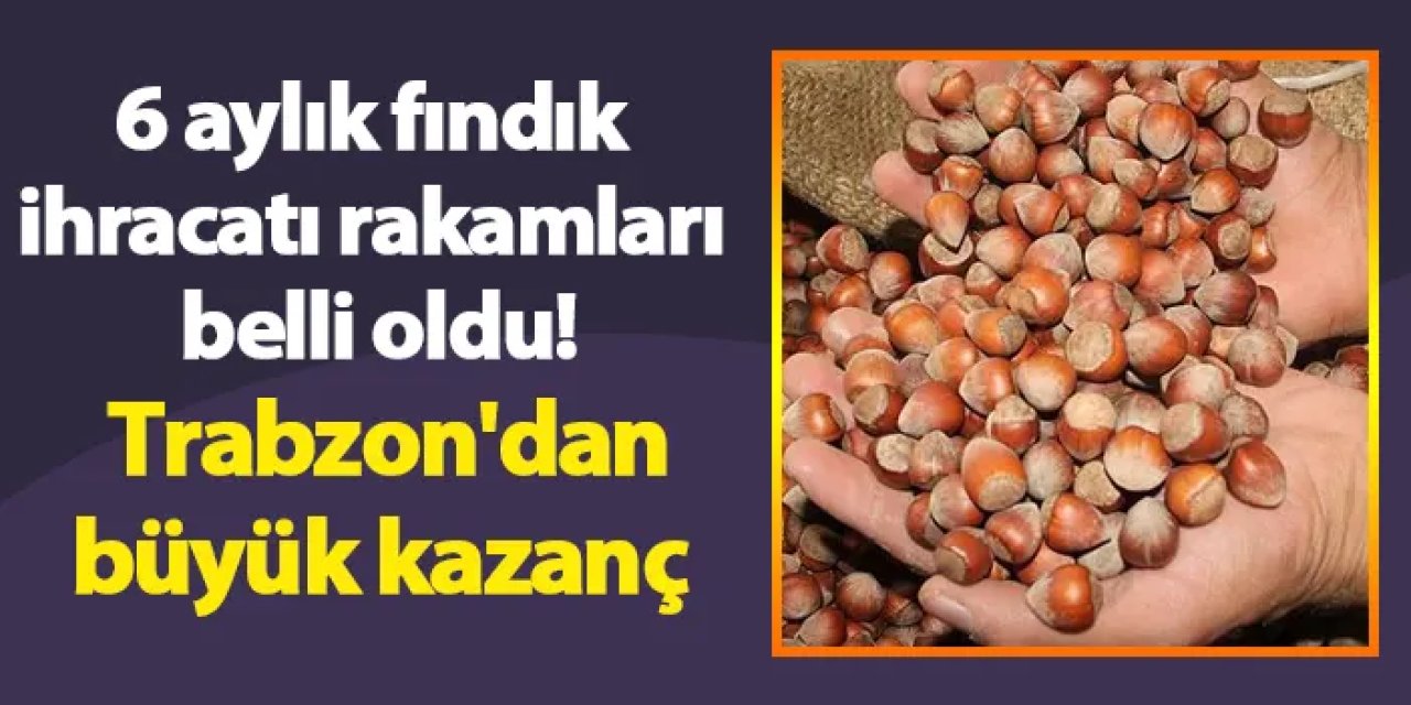 6 aylık fındık ihracatı rakamları belli oldu! Trabzon'dan büyük kazanç