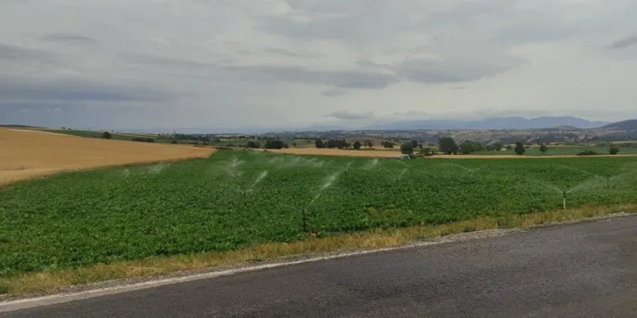 Samsun’da 20 gündür sulanmayan araziler suya kavuştu