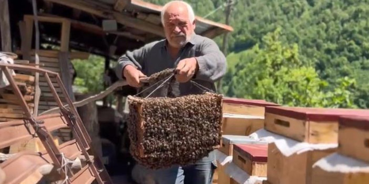 Artvin'de arılar yeni kolonileri için kovandan salındı