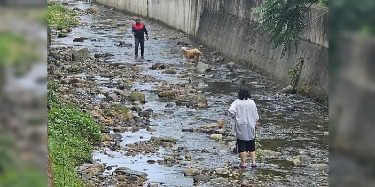 Samsun’da keçinin yardımına koşuldu!