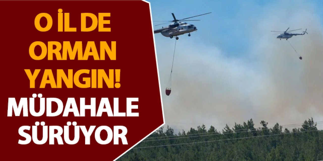 İzmir’de orman yangını! Müdahale sürüyor