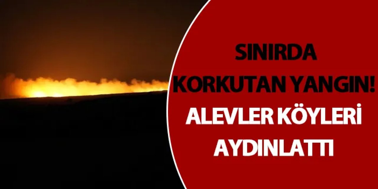 Türkiye-Bulgaristan sınırında korkutan yangın! Alevler köyleri aydınlattı