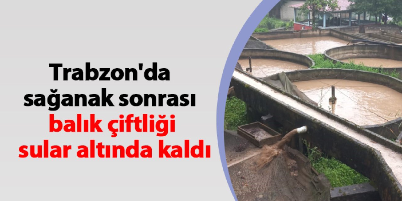 Trabzon'da sağanak sonrası balık çiftliği sular altında kaldı