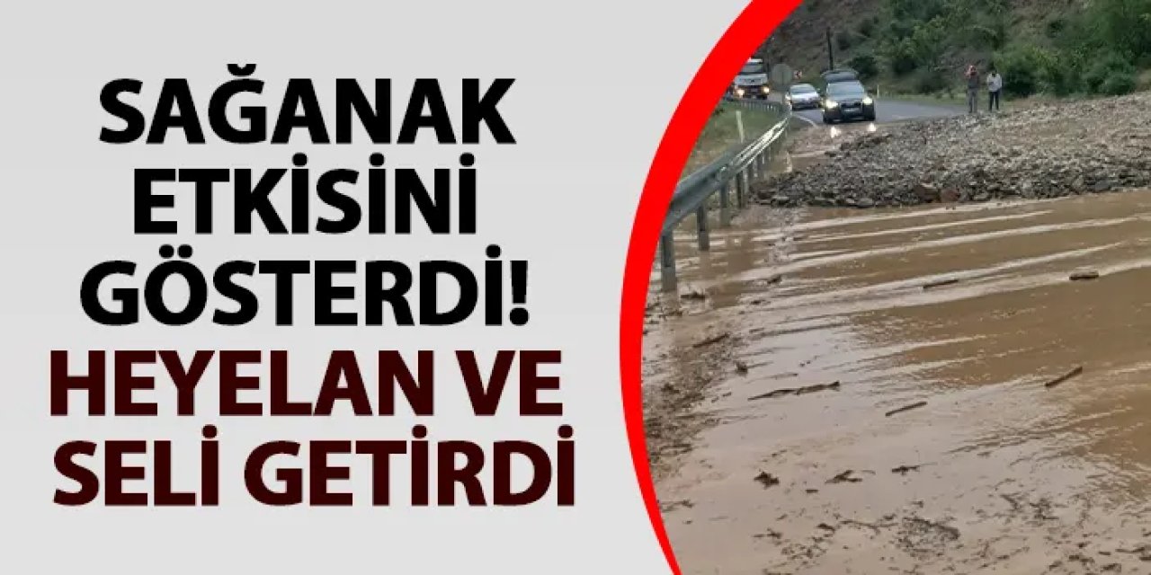 Erzurum'da yoğun yağış heyelan ve seli getirdi