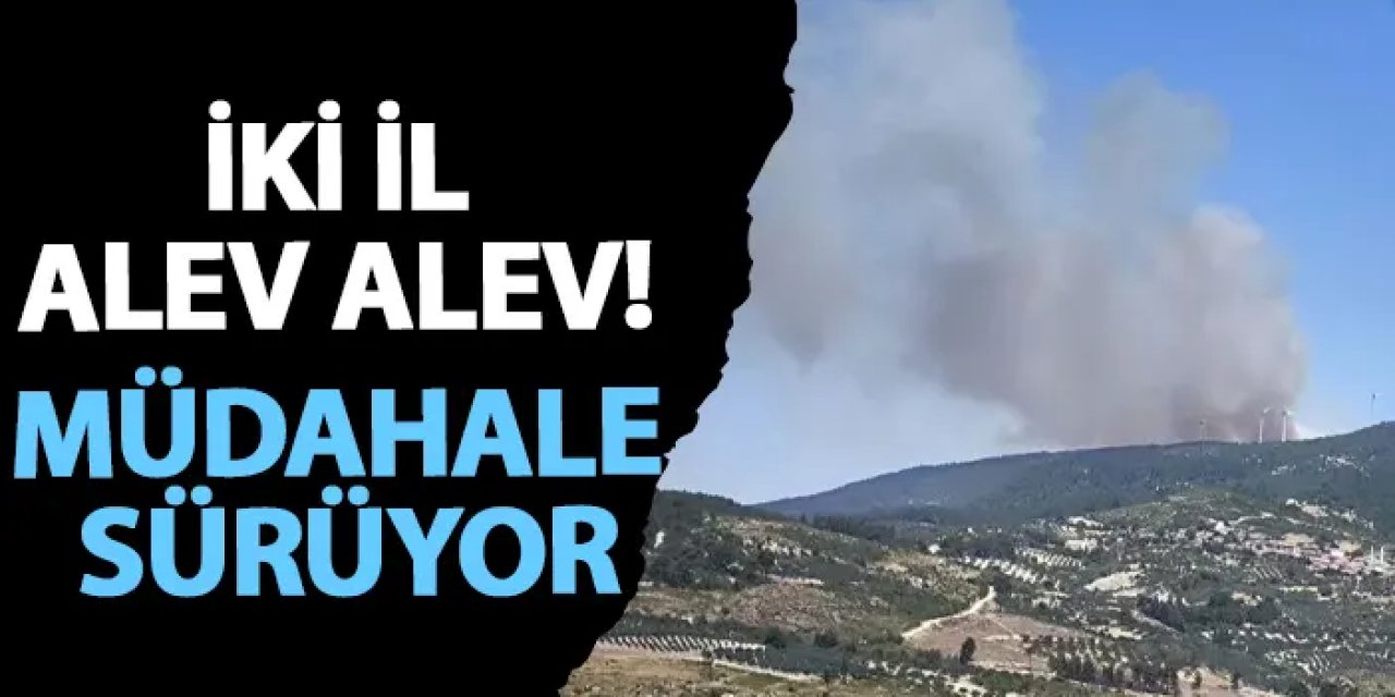 İki il alev alev! Müdahale sürüyor