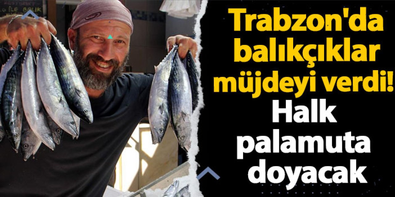 Trabzon'da balıkçıklar müjdeyi verdi! Palamut bol olacak