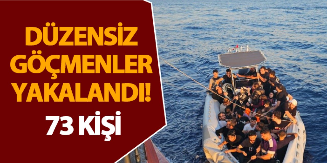 Düzensiz göçmenler yakalandı! 1 gözaltı