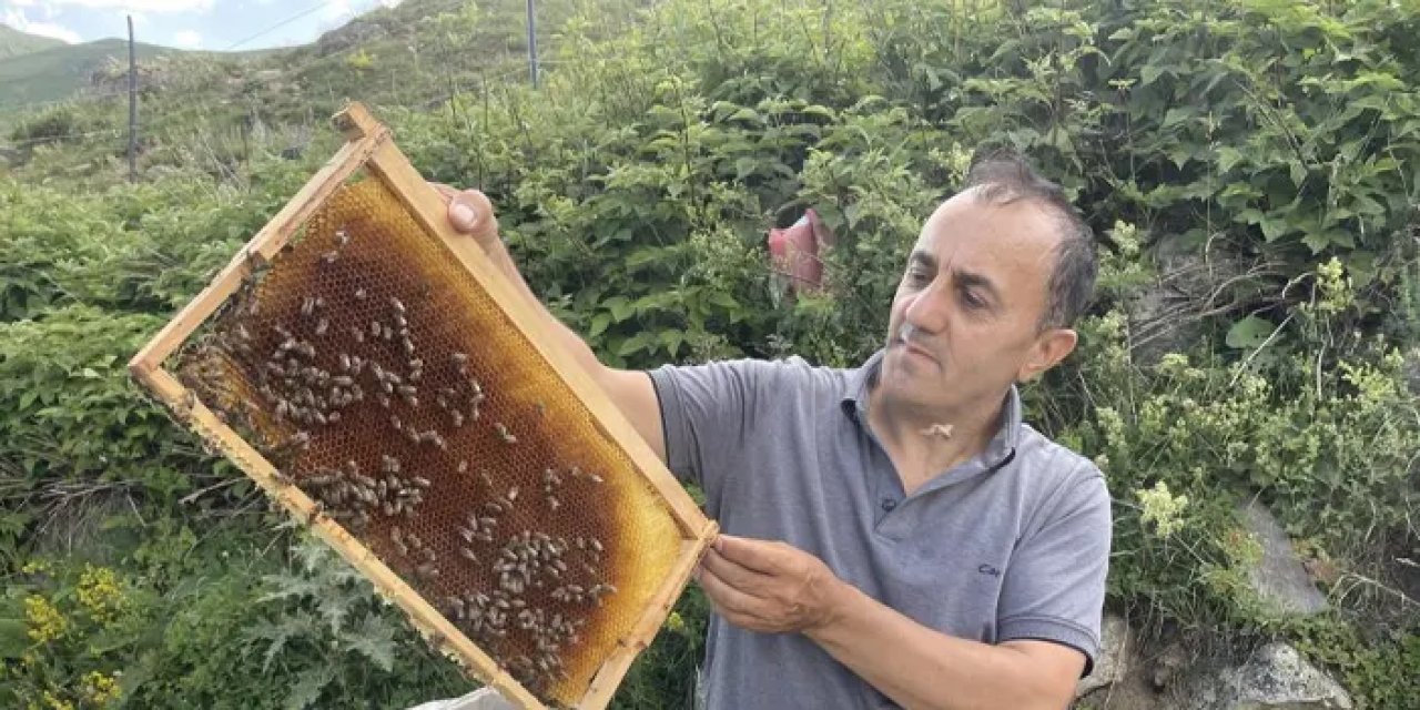 Faydaları saymakla bitmiyor: Anzer balının fiyatı dudak uçuklattı