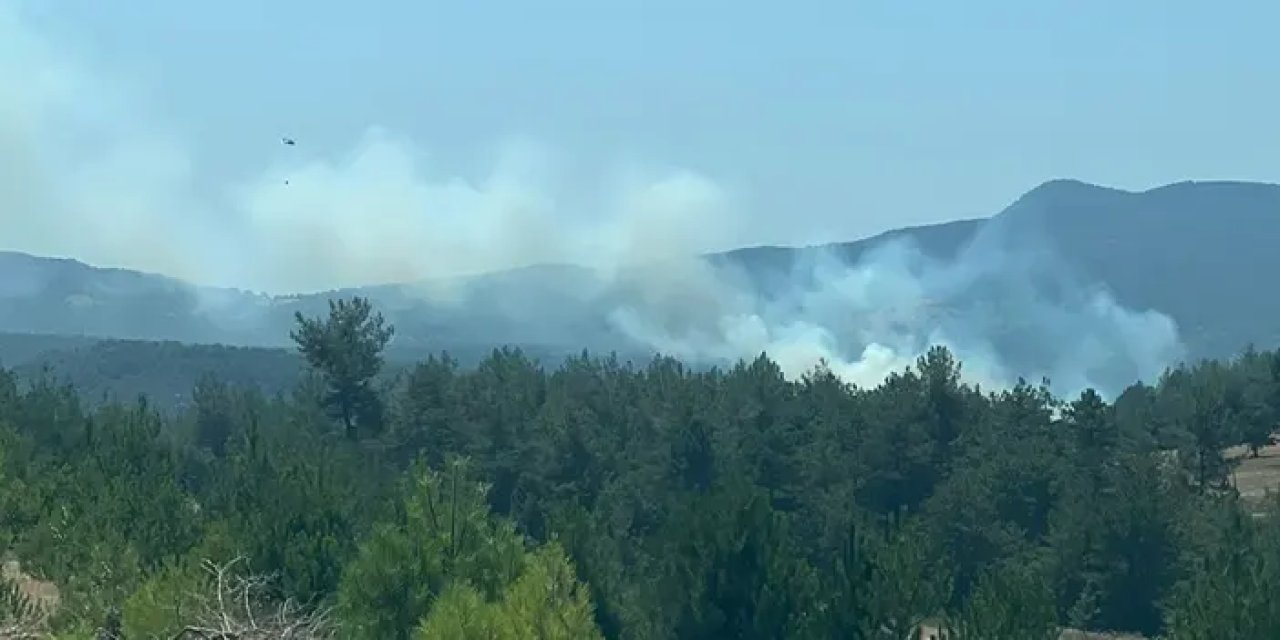 Bursa’da orman yangını! Müdahale ediliyor