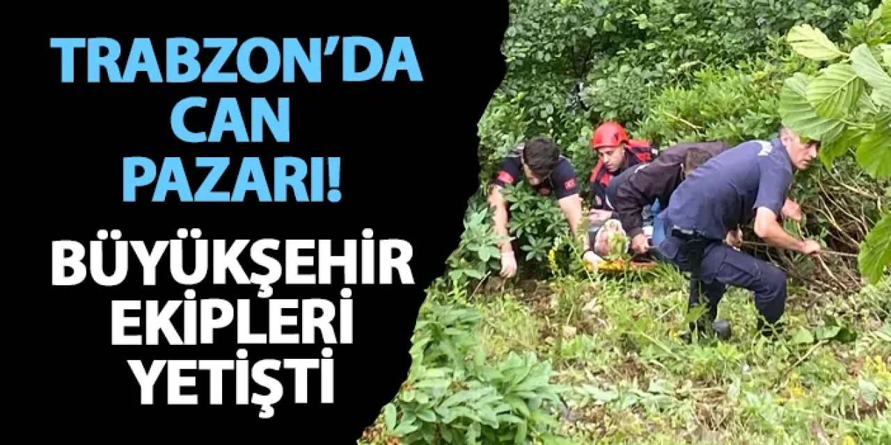 Trabzon'da can pazarı! Büyükşehir ekipleri yetişti