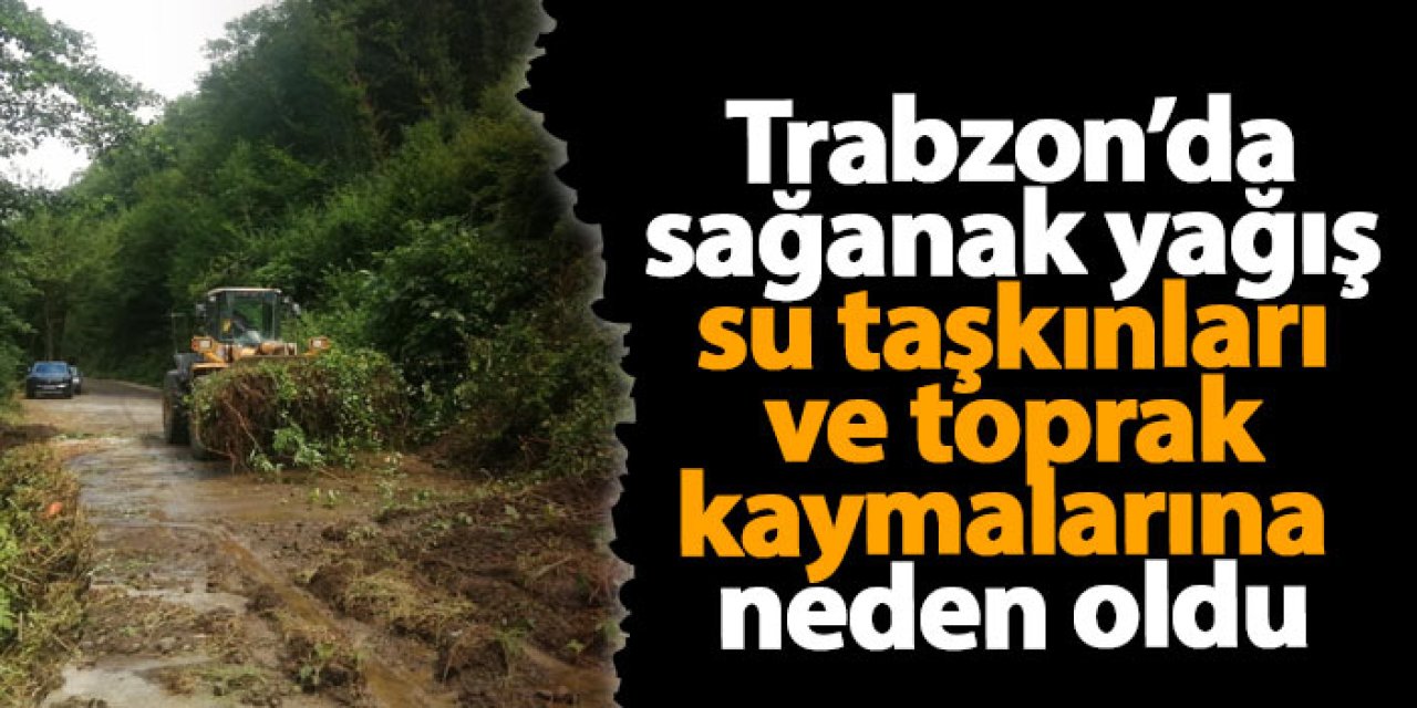 Trabzon'da şiddetli yağış su taşkınları ve toprak kaymalarına neden oldu