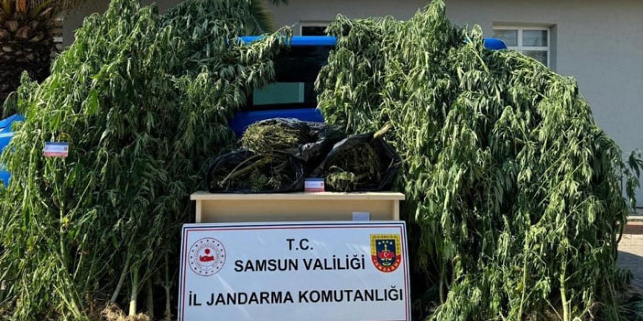 Samsun'da 6 kilo 300 gram esrar ele geçirildi