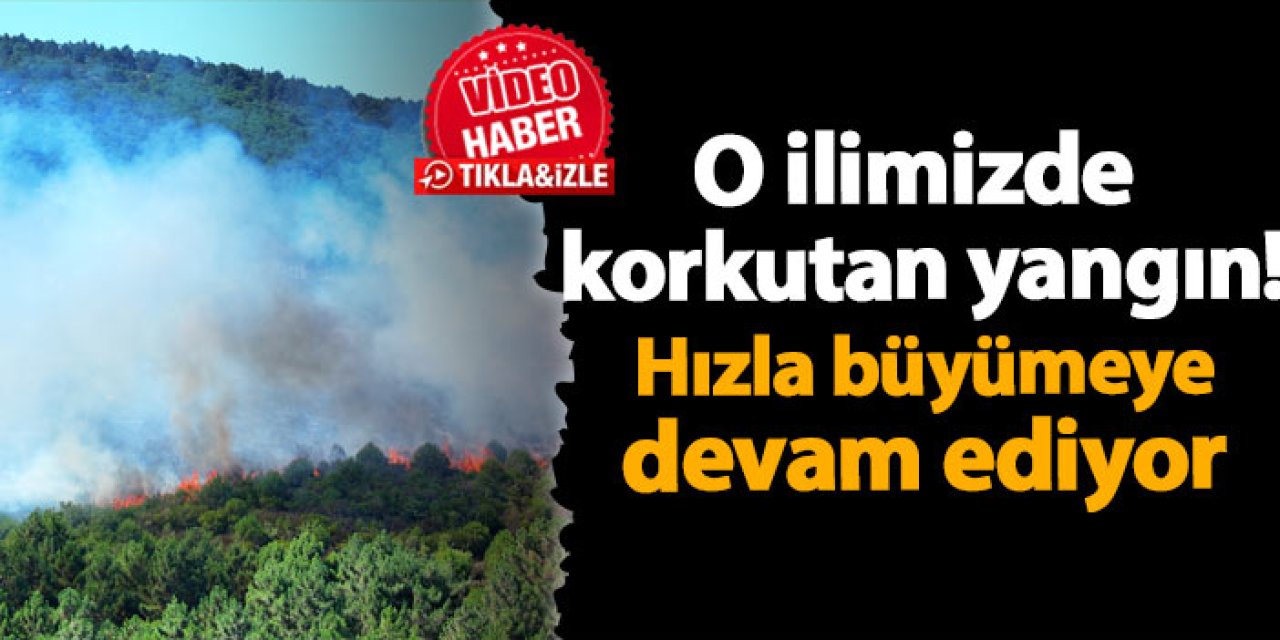 İstanbul'da korkutan yangın! Yerleşim yerlerine doğru ilerliyor