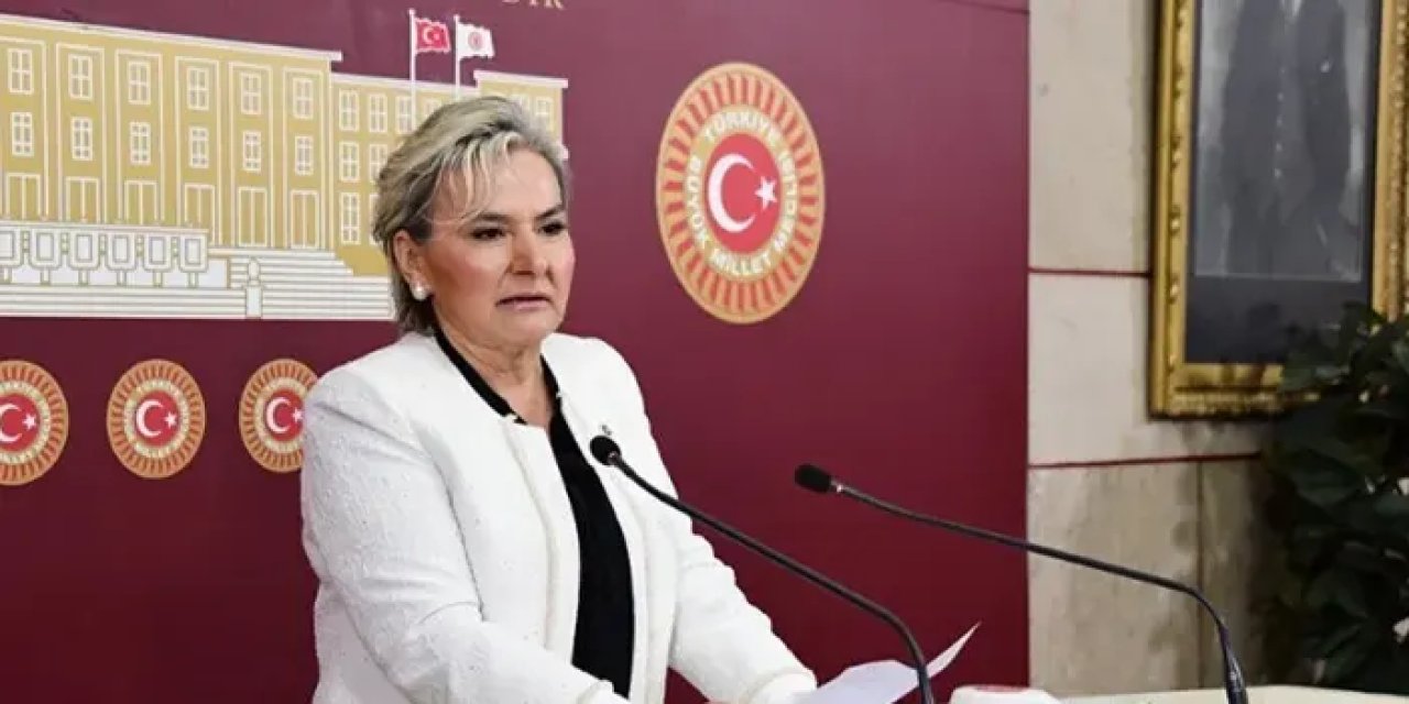 İYİ Parti Milletvekili Nimet Özdemir istifa etti! Nimet Özdemir kimdir? Nereli, kaç yaşında, ne iş yapıyor?