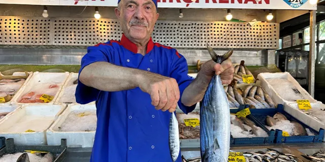 İstanbul'da balıkçılar yeni sezonda umutlu!