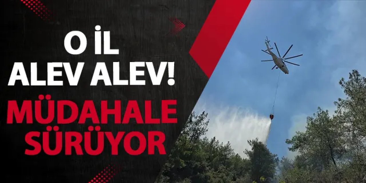 Hatay alev alev! Müdahale sürüyor