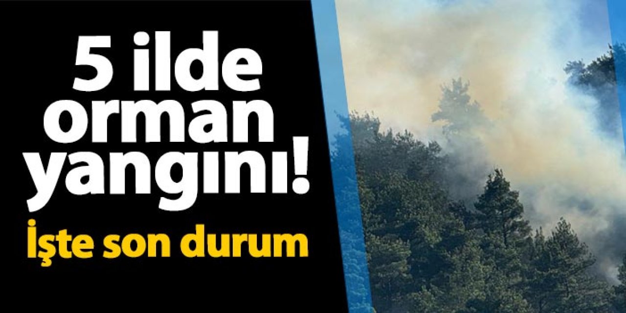 5 ilde orman yangını! İşte son durum