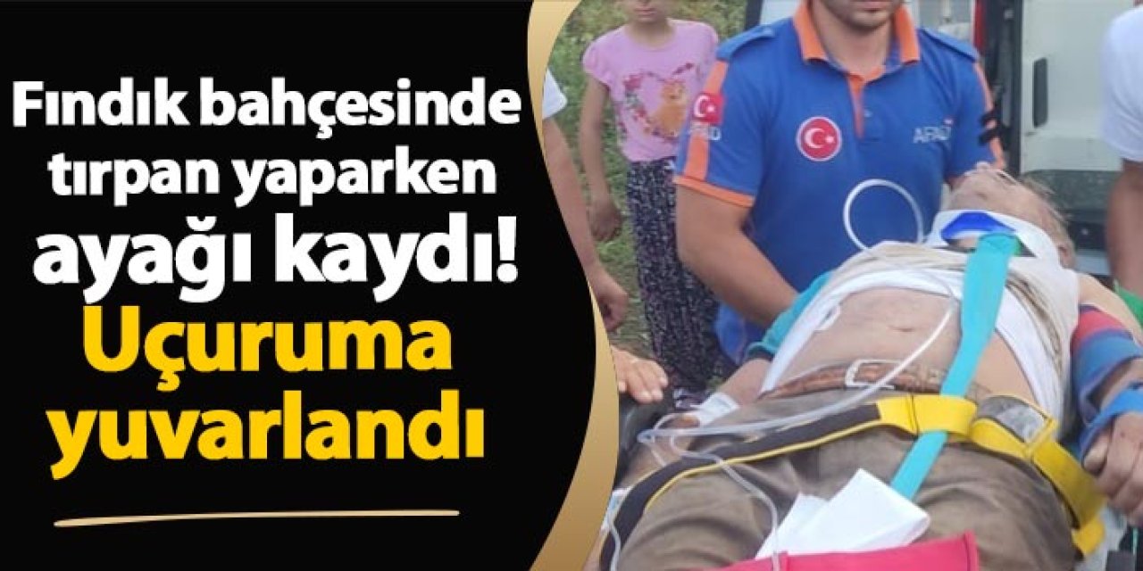 Düzce'de fındık bahçesinde tırpan yaparken ayağı kaydı! Uçuruma yuvarlandı