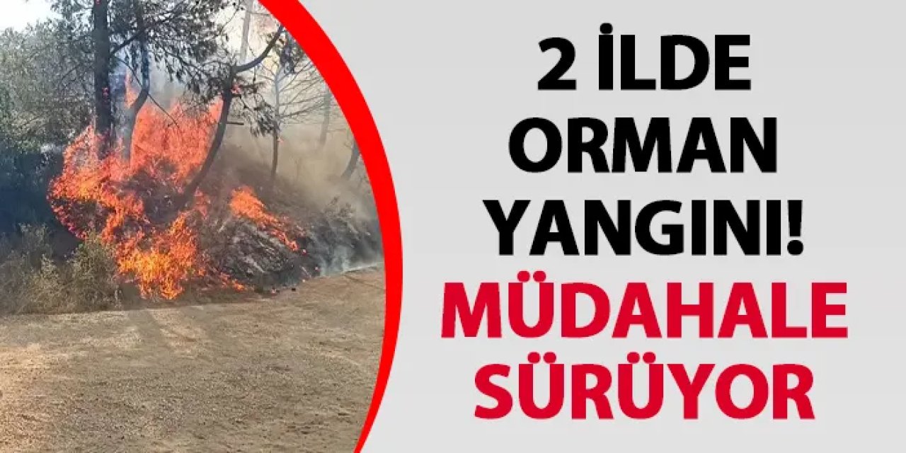 2 ilde orman yangını! Müdahale sürüyor