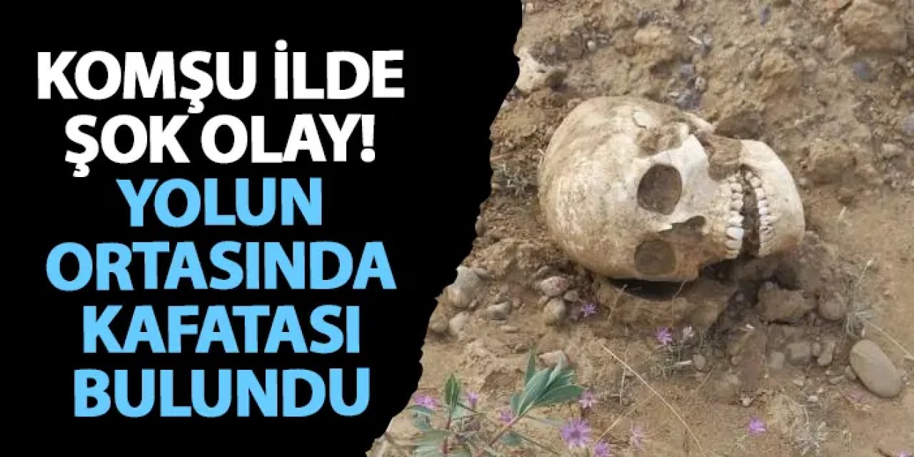 Gümüşhane’de şok olay! Yolun ortasında kafatası bulundu