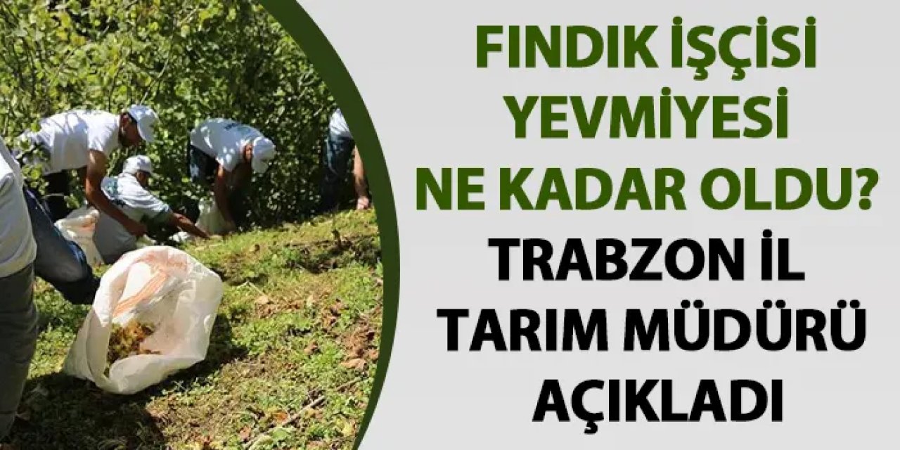 Fındık işçisi yevmiyesi ne kadar oldu? Trabzon İl Tarım Müdürü açıkladı