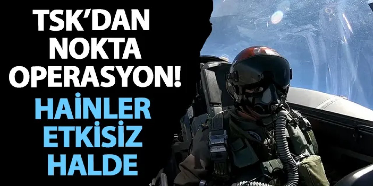 TSK’dan nokta operasyon! Hainler etkisiz halde