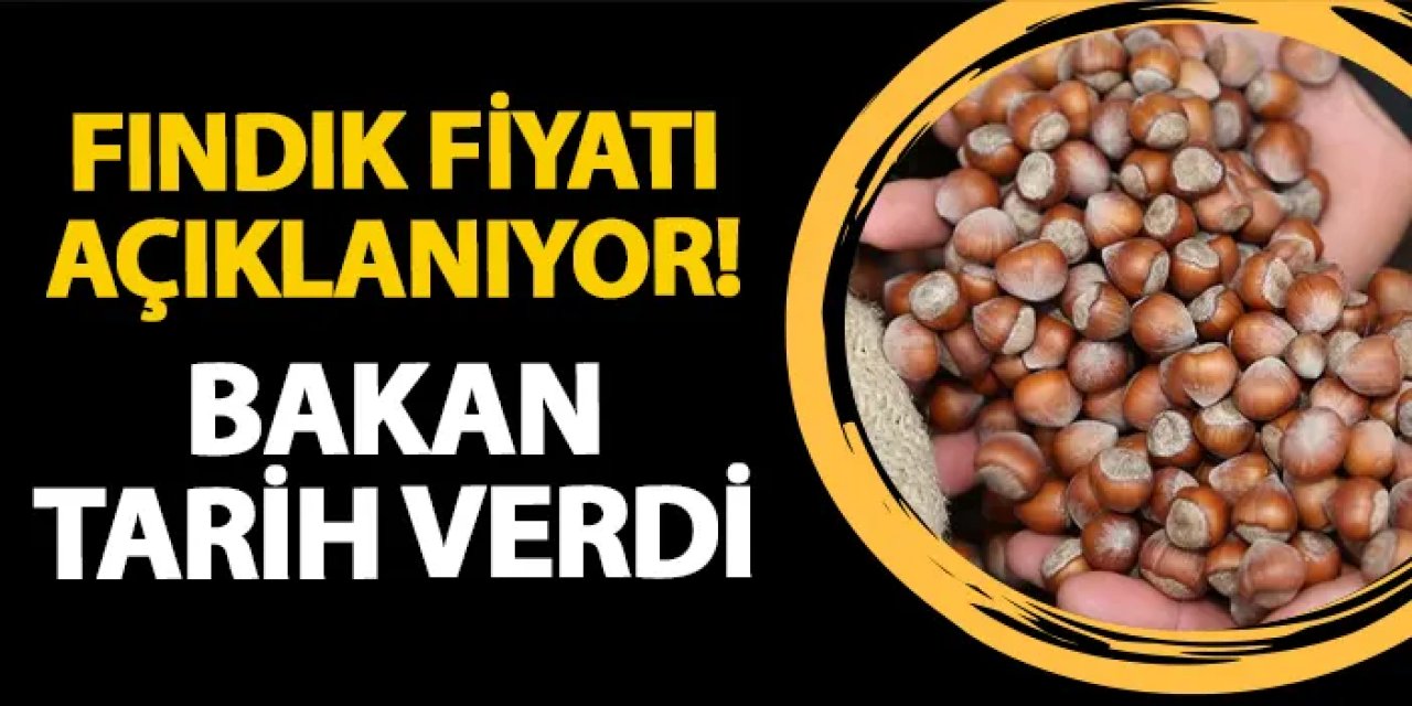 Fındık fiyatı açıklanıyor! Bakan Yumaklı tarih verdi