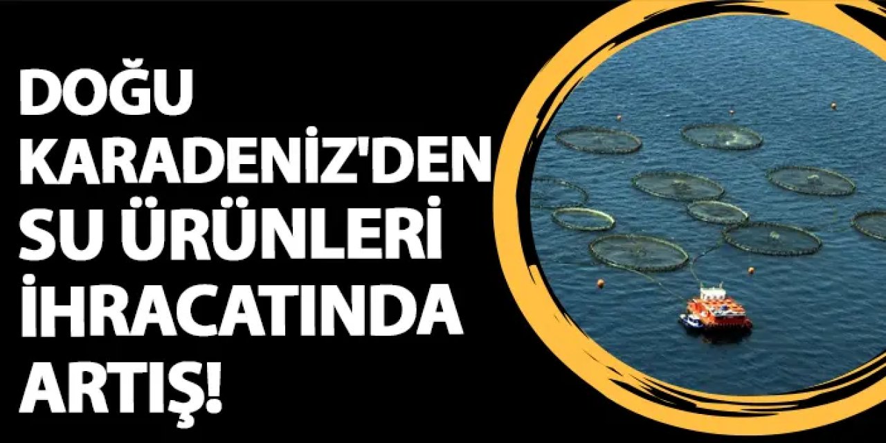 Doğu Karadeniz'den su ürünleri ihracatında artış!