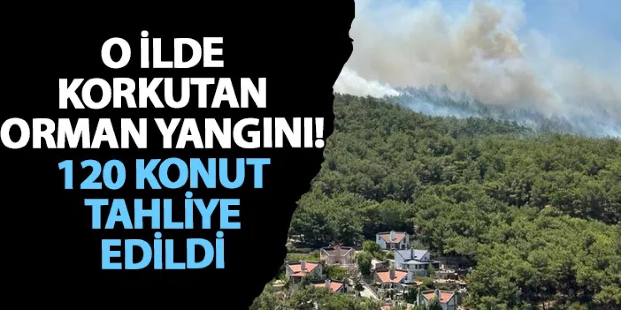 İzmir’de korkutan orman yangını! 120 konut tahliye edildi