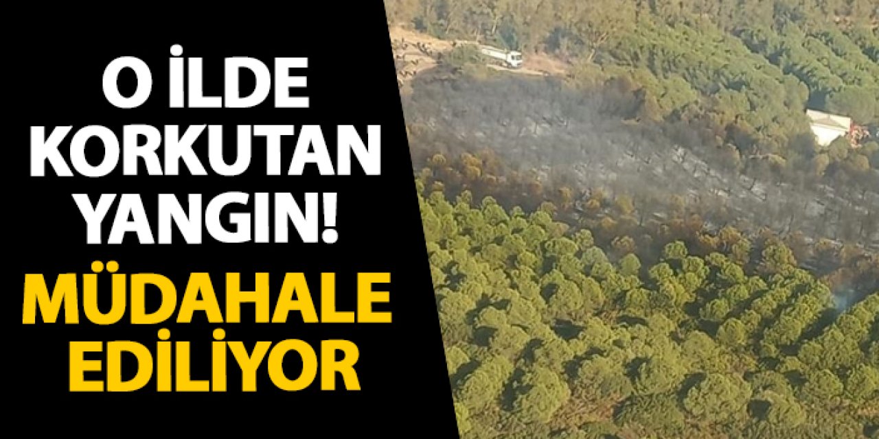 İzmir’de korkutan yangın! Müdahale ediliyor