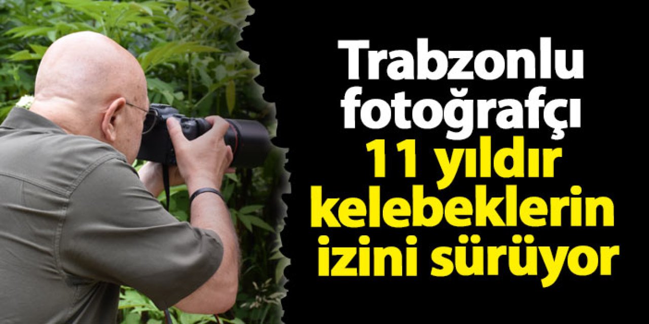 Trabzonlu fotoğrafçı 11 yıldır kelebeklerin izini sürüyor