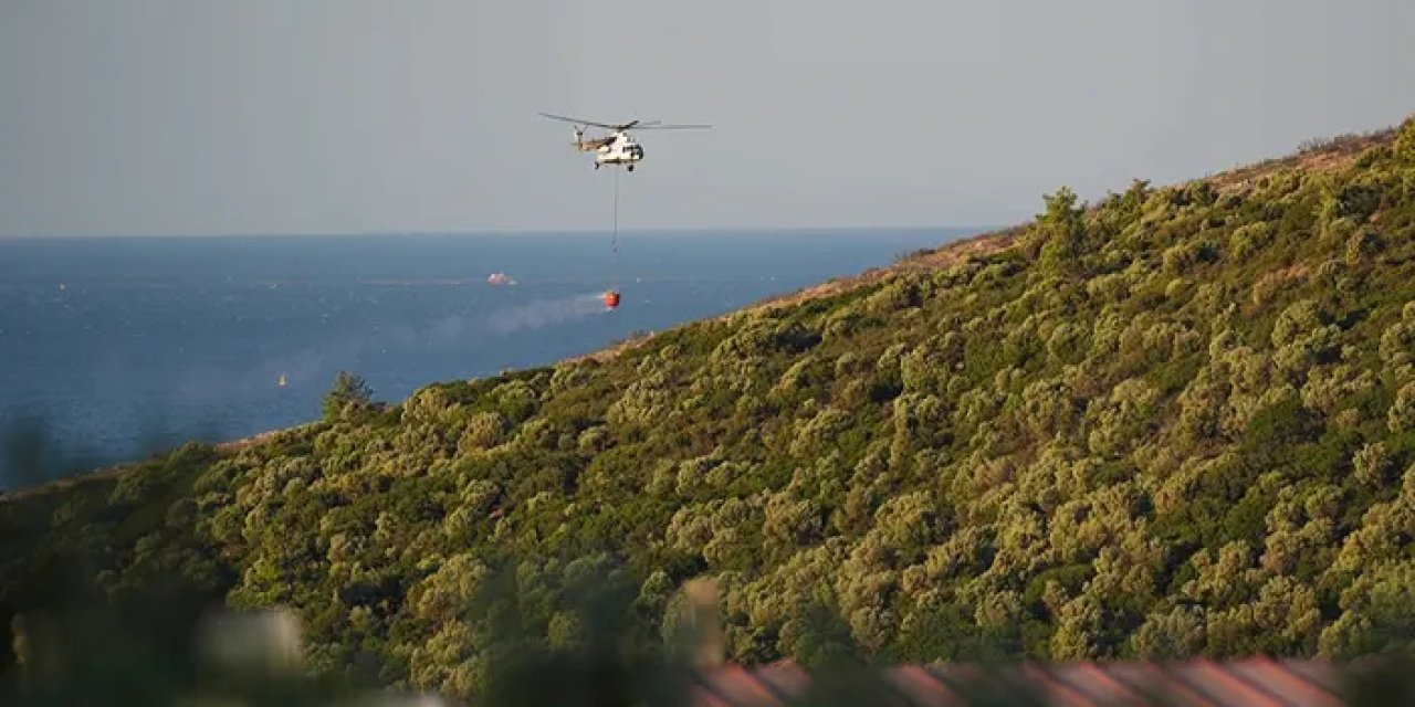 Orman yangınları artarken etki alanı azalıyor