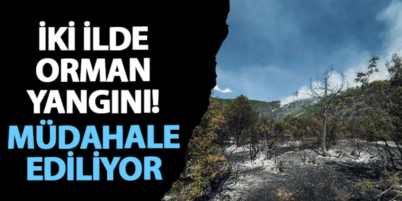 İki ilde orman yangını! Müdahale ediliyor