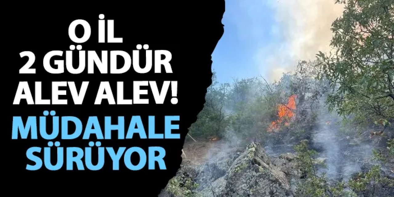 Tunceli 2 gündür alev alev! Müdahale sürüyor