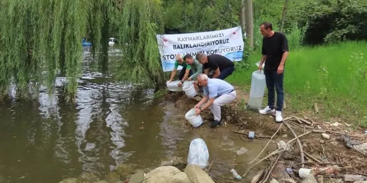 Amasya’da üretilen sazanlar Trabzon’da göle bırakıldı