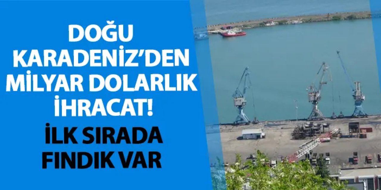 Doğu Karadeniz’den milyar dolarlık ihracat! İlk sırada fındık var