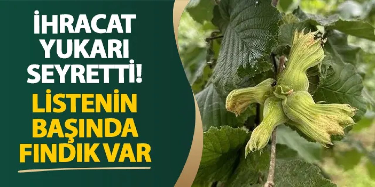 İhracat yukarı seyretti! Listenin başında fındık var