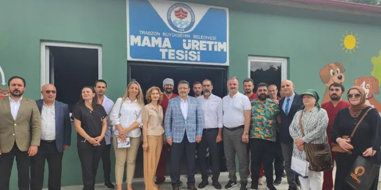 Trabzon'da sokak hayvanları için Mama Üretim Tesisi!