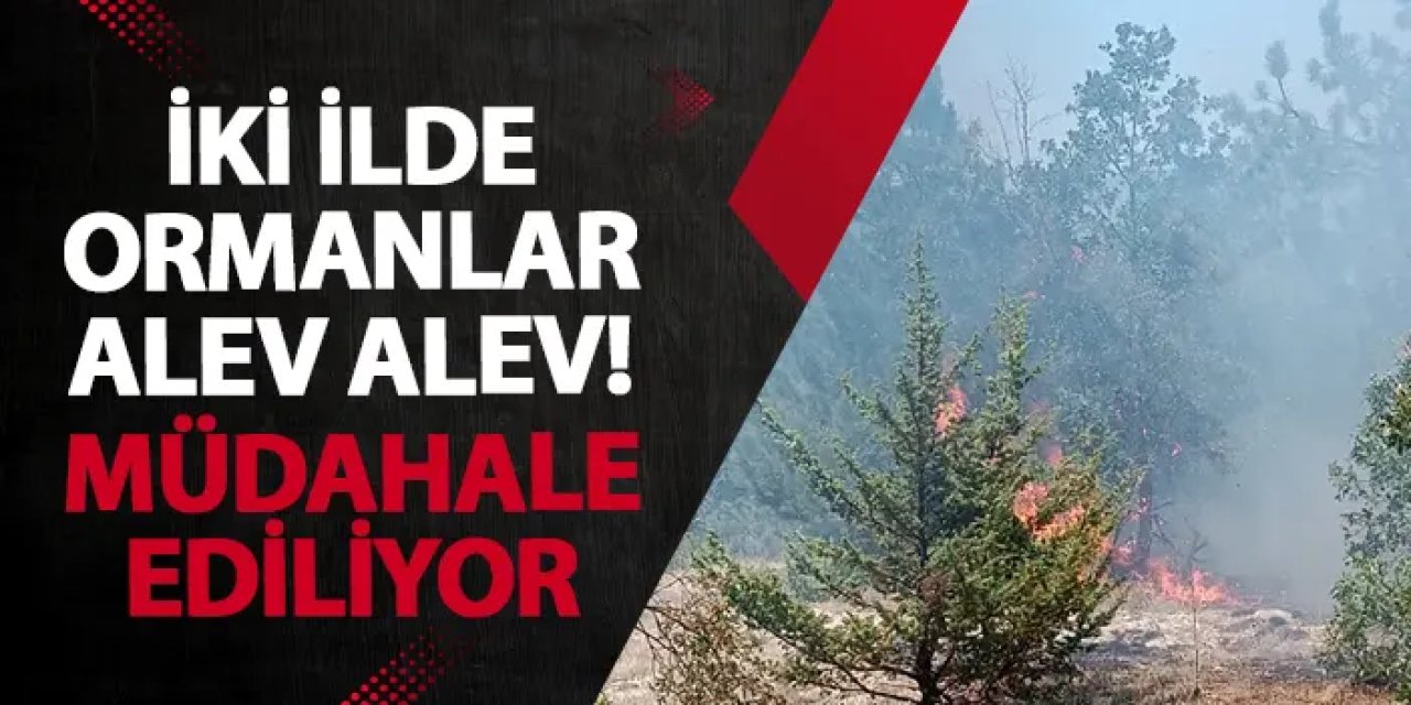 İki ilde ormanlar alev alev! Müdahale ediliyor