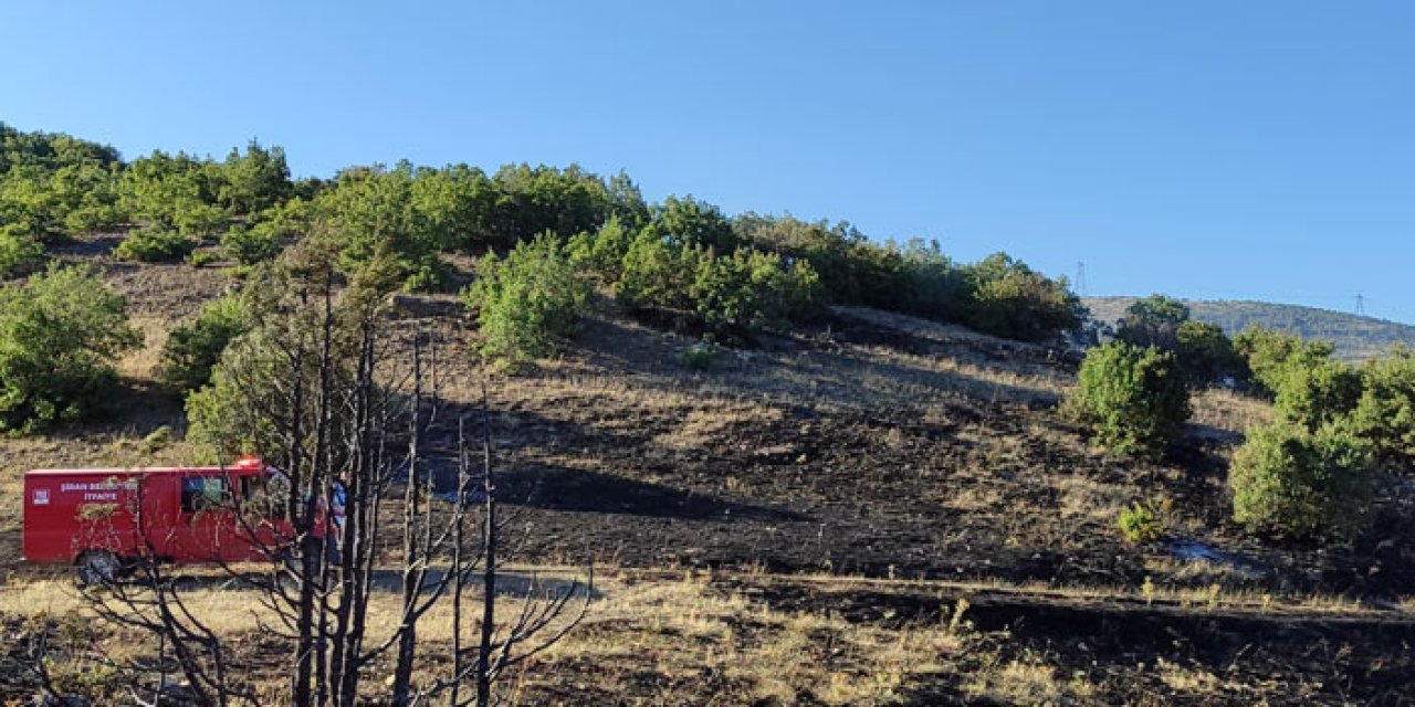 Gümüşhane'de ormanlık ve otluk alanda çıkan yangın